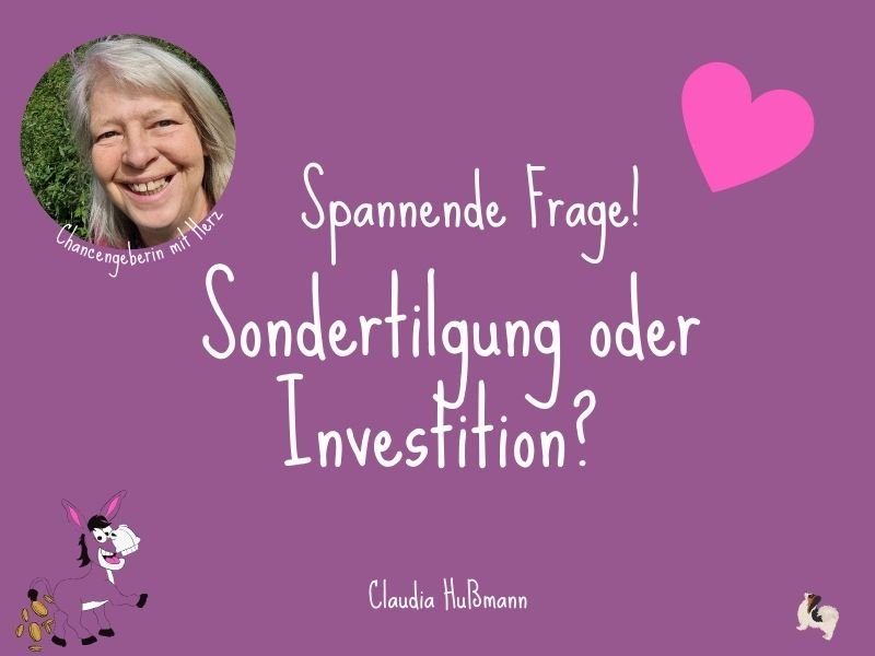 Sondertilgung oder Investition